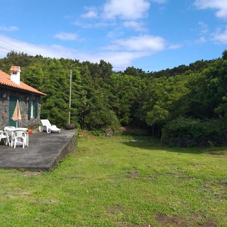 Azores Hibiscus House - Mountain And Sea Sao Roque do Pico Ngoại thất bức ảnh